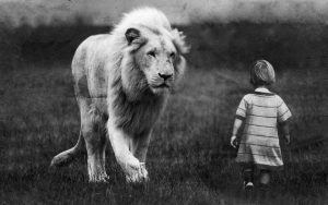 strach peur lion