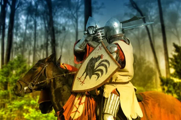 chevaliers combattants
